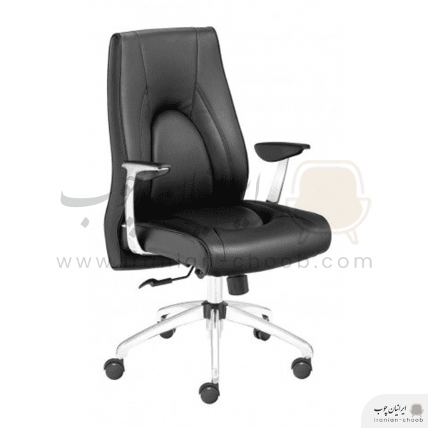 صندلی کارشناسی داتیس مدل ارگو XE880