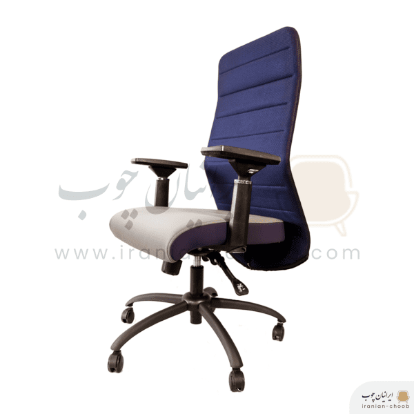 صندلی مدیریت اِرگو مدل 3310